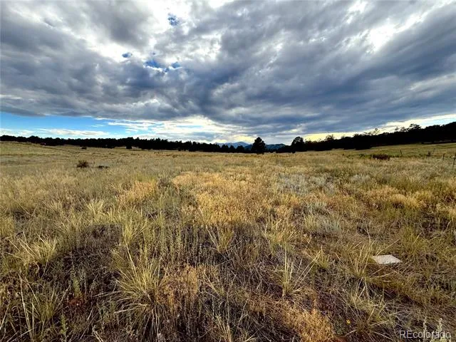 TBD #2, 23rd Trail Cotopaxi, CO 81223