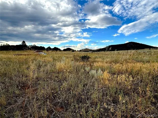 TBD #2, 23rd Trail Cotopaxi, CO 81223