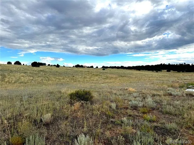 TBD #2, 23rd Trail Cotopaxi, CO 81223