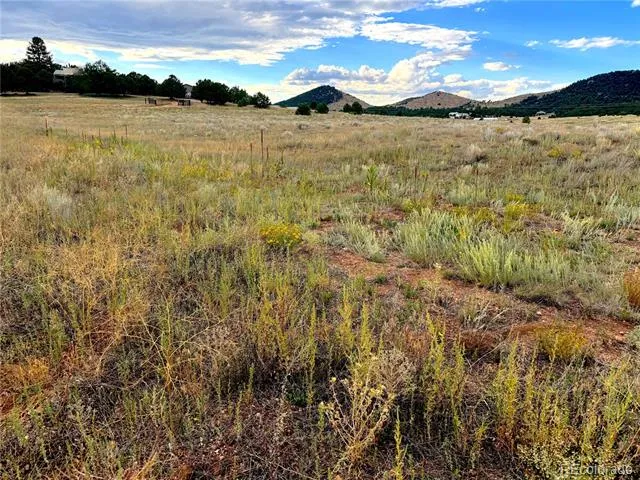 TBD #2, 23rd Trail Cotopaxi, CO 81223