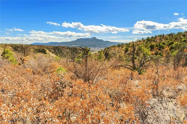 #26 Rancho Verde Road Trinidad, CO 81082