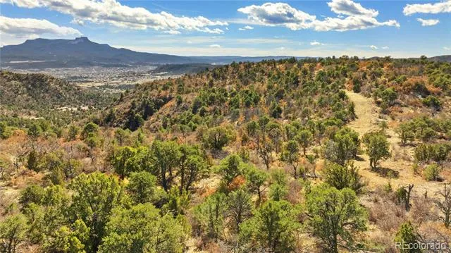 #26 Rancho Verde Road Trinidad, CO 81082