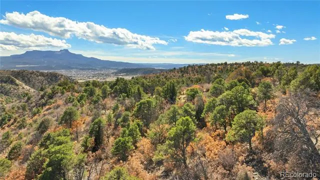 #26 Rancho Verde Road Trinidad, CO 81082