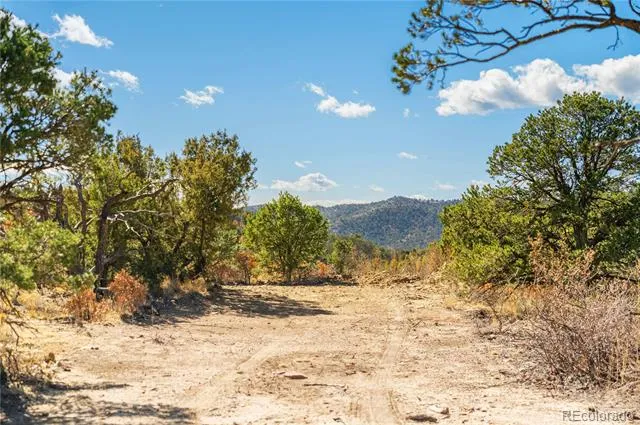 #26 Rancho Verde Road Trinidad, CO 81082