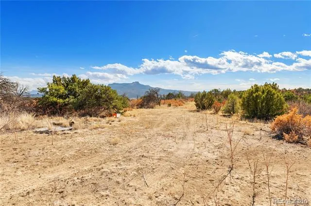 #26 Rancho Verde Road Trinidad, CO 81082