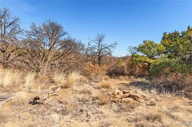 #26 Rancho Verde Road Trinidad, CO 81082