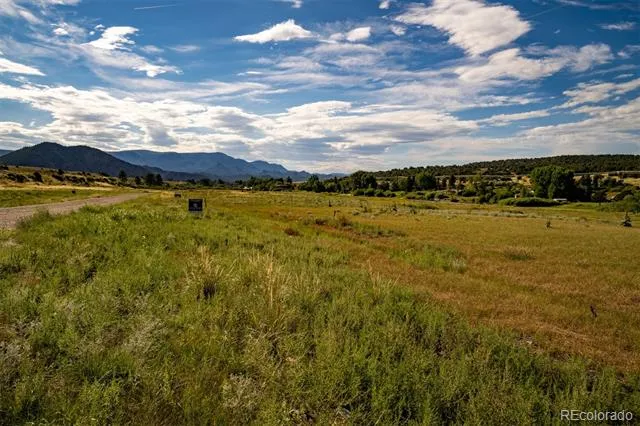 24283 River Rock Lane Buena Vista, CO 81211