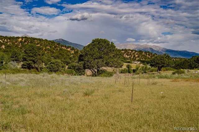 24283 River Rock Lane Buena Vista, CO 81211