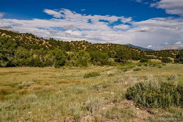 24283 River Rock Lane Buena Vista, CO 81211
