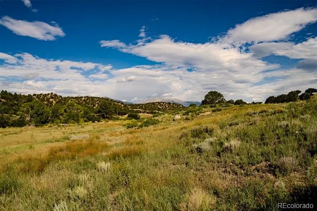 24283 River Rock Lane Buena Vista, CO 81211