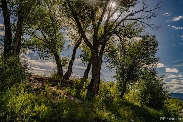 24283 River Rock Lane Buena Vista, CO 81211