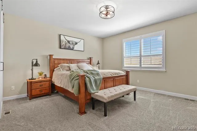 6180 Leilani Drive Castle Rock, CO 80108