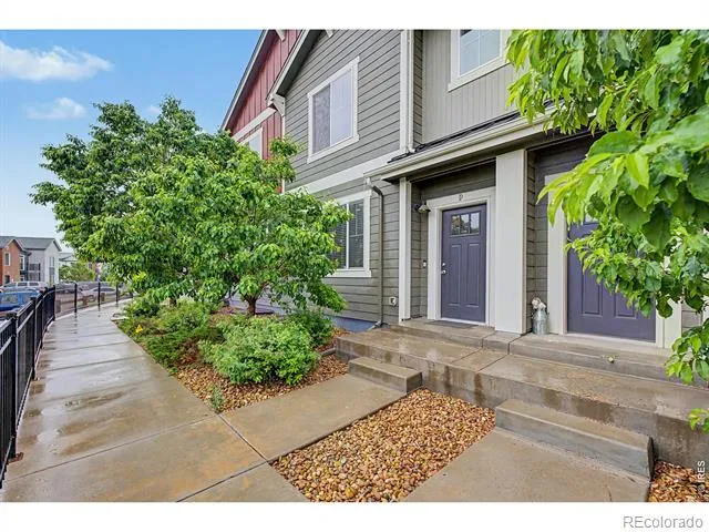 3502 Big Ben Drive #D Fort Collins, CO 80526