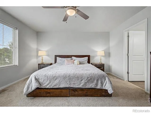 3502 Big Ben Drive #D Fort Collins, CO 80526