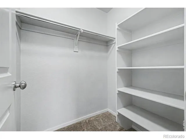3502 Big Ben Drive #D Fort Collins, CO 80526