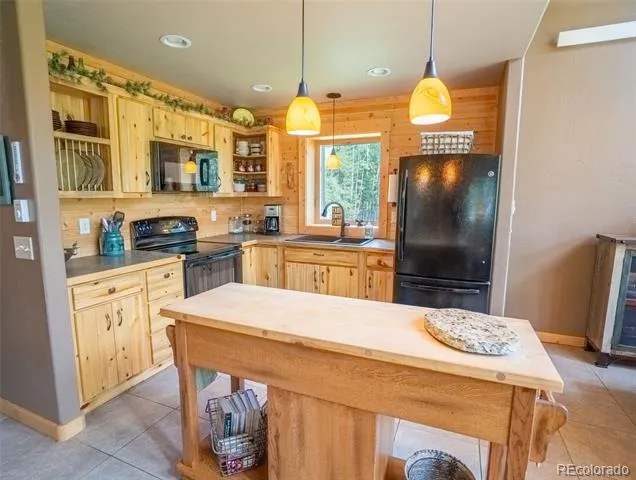 25879 County Road 162e Nathrop, CO 81236