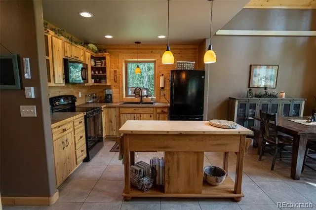 25879 County Road 162e Nathrop, CO 81236