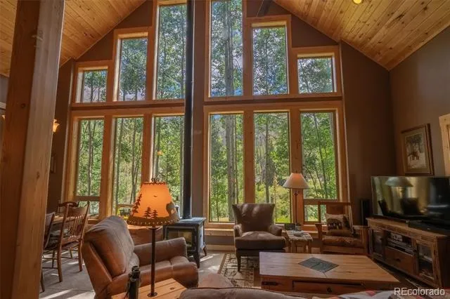 25879 County Road 162e Nathrop, CO 81236
