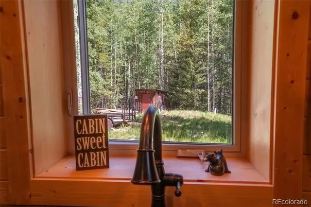 25879 County Road 162e Nathrop, CO 81236