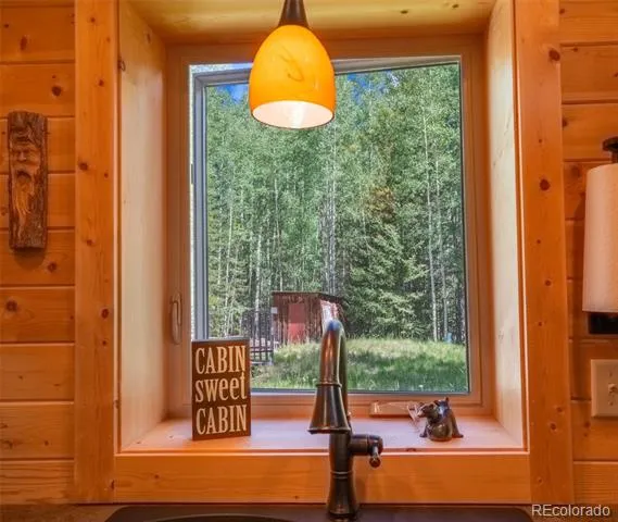25879 County Road 162e Nathrop, CO 81236