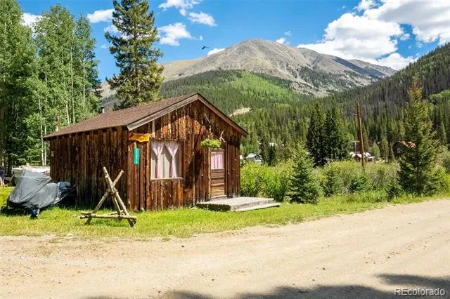 25879 County Road 162e Nathrop, CO 81236