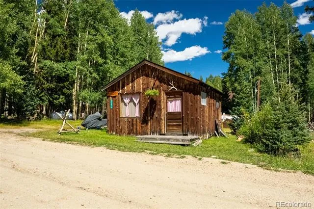 25879 County Road 162e Nathrop, CO 81236