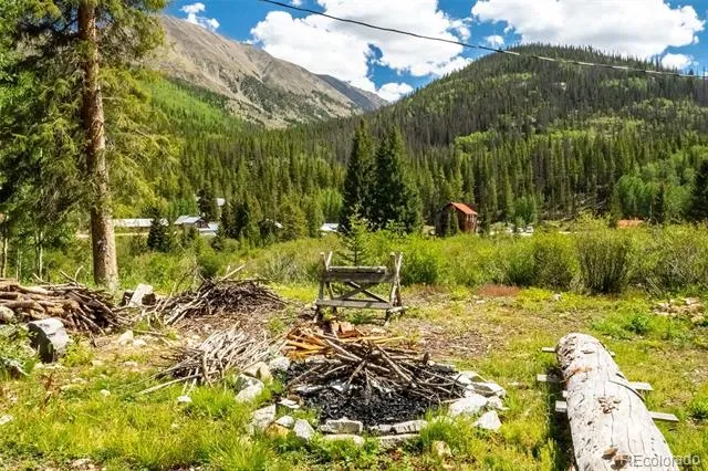 25879 County Road 162e Nathrop, CO 81236