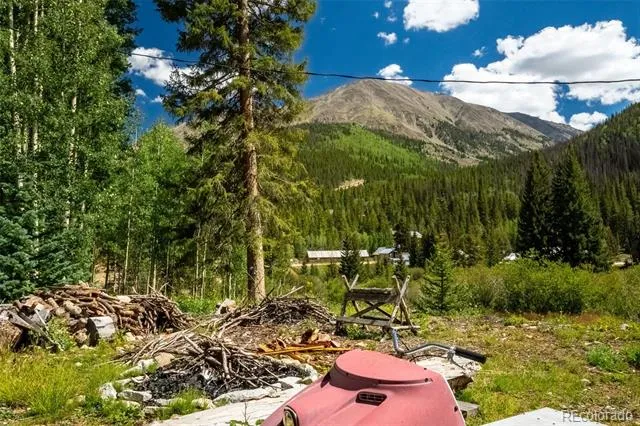 25879 County Road 162e Nathrop, CO 81236