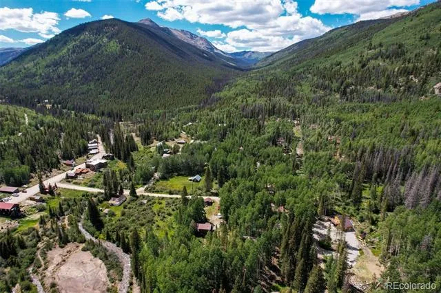 25879 County Road 162e Nathrop, CO 81236