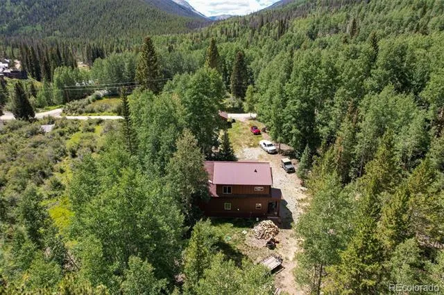 25879 County Road 162e Nathrop, CO 81236