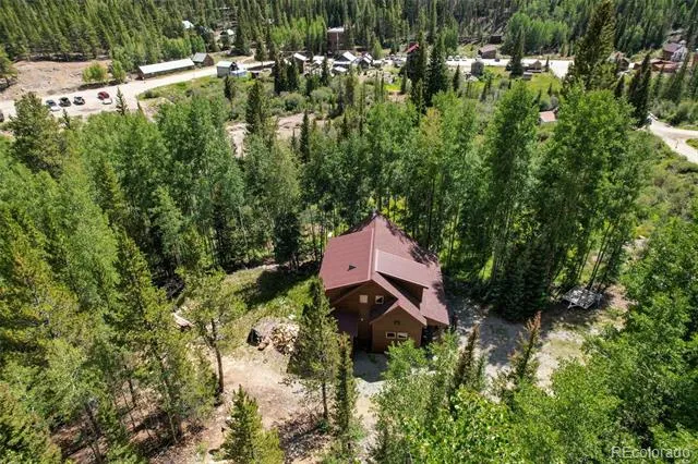 25879 County Road 162e Nathrop, CO 81236