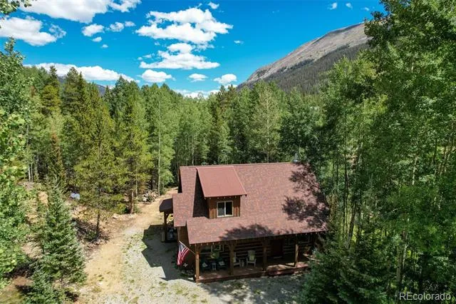 25879 County Road 162e Nathrop, CO 81236