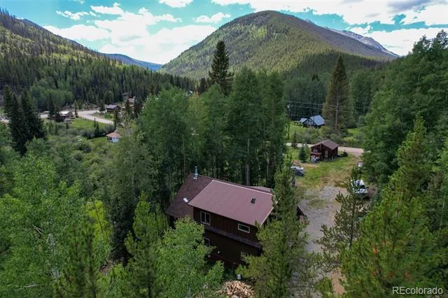 25879 County Road 162e Nathrop, CO 81236