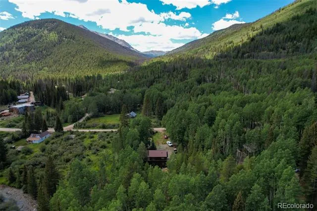 25879 County Road 162e Nathrop, CO 81236