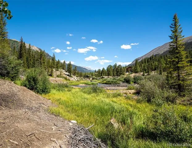25879 County Road 162e Nathrop, CO 81236