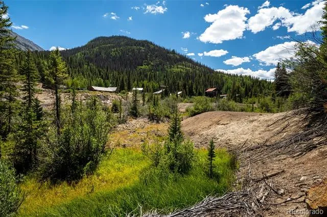 25879 County Road 162e Nathrop, CO 81236