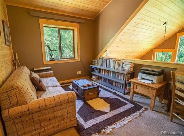 25879 County Road 162e Nathrop, CO 81236