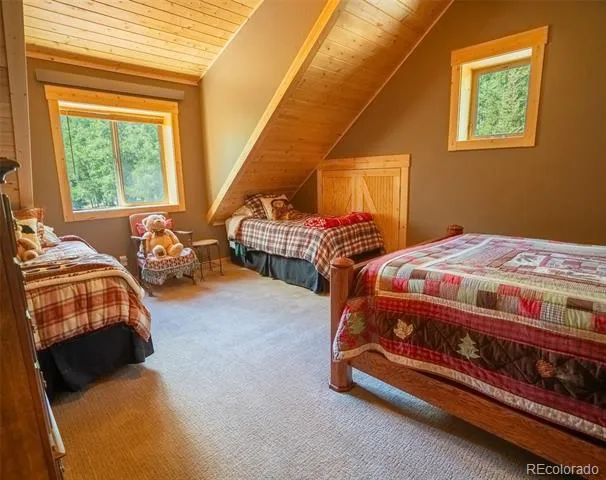 25879 County Road 162e Nathrop, CO 81236