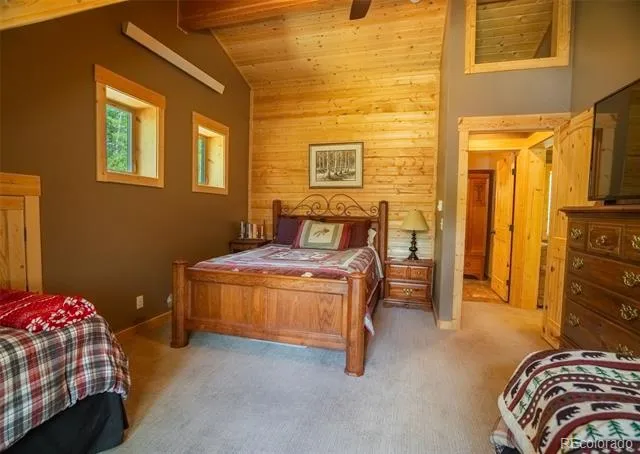 25879 County Road 162e Nathrop, CO 81236