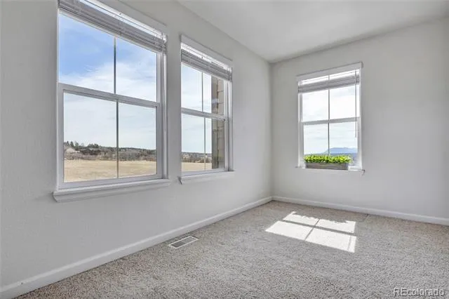 17099 Blue Mist Grove Monument, CO 80132