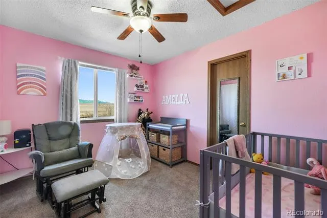 4412 Bramble Lane Colorado Springs, CO 80925