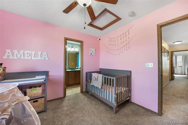 4412 Bramble Lane Colorado Springs, CO 80925