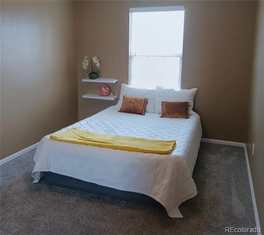 10021 Hudson Court Denver, CO 80229