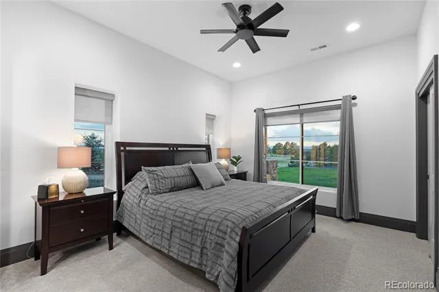 10689 Shadow Pines Road Parker, CO 80138