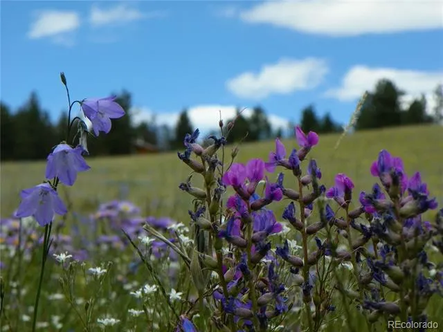 none 33HH Saguache, CO 81149