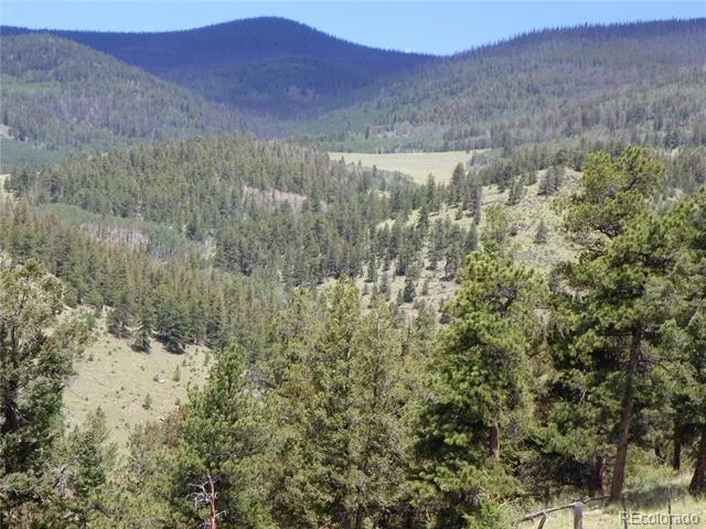 none 33HH Saguache, CO 81149