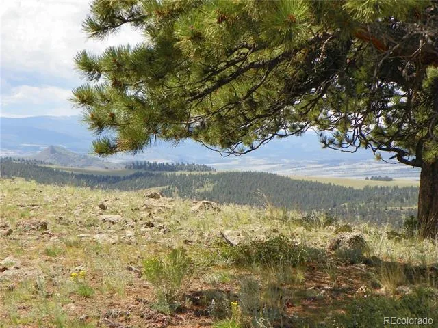 none 33HH Saguache, CO 81149
