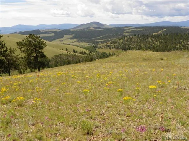 none 33HH Saguache, CO 81149