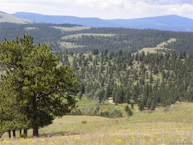 none 33HH Saguache, CO 81149