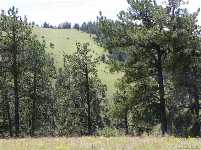 none 33HH Saguache, CO 81149